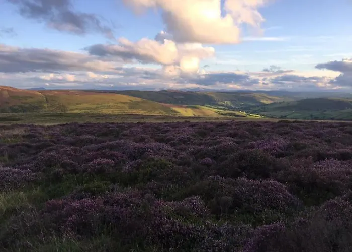 Nant-Y-Glyn