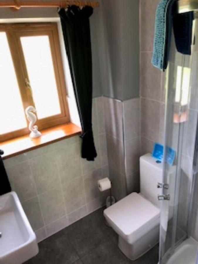 Holiday home Nant-y-glyn *
